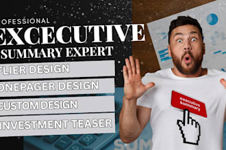 business summary executive summary one pager investment teaser flyer in 24hrs