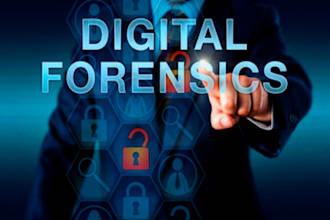 online investigate, cyber forensics, video forensic analyst recover deleted data