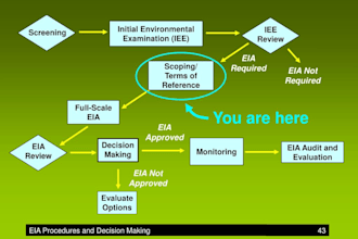 do environmental impact assessment