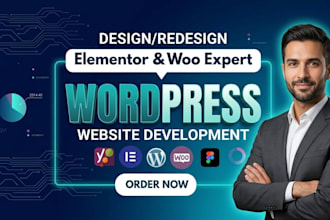 design or redesign a professional word press website for your business