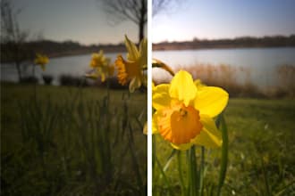 professionally colour grade your nature and landscape photos