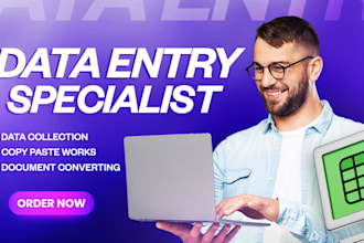 professional data entry copy paste and web research