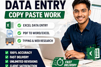 ill do professional data entry, copy typing and web research