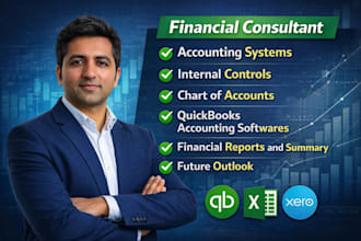 provide financial analysis, accounting and bookkeeping