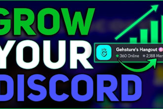 professional promote, boost, discord server, organic growth get targeted member