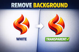 remove background from your logo professionally