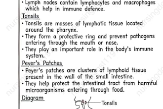 create smart biology notes for easy understanding