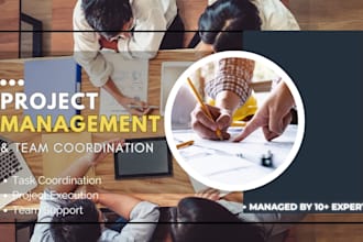be your expert project manager in asana, trello,  jira