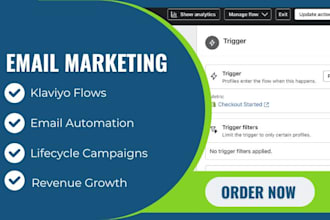 set up klaviyo flows, email automation, lifecycle campaigns, for revenue growth