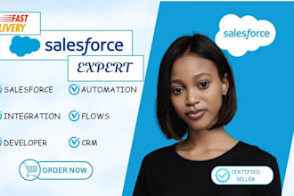 do salesforce CRM, salesforce integration, automation and developer tasks