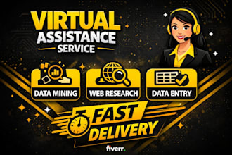 be your virtual assistant for data entry, web research and data mining