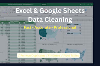 clean and organize your excel or google sheets data professionally