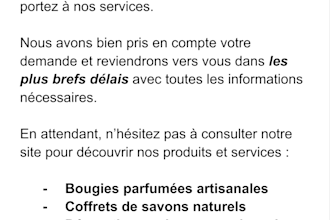 je redige vos e mails professionnels en francais