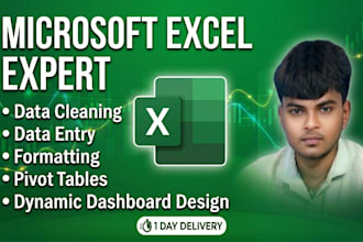 excel data cleaning, formatting and dashboard professional