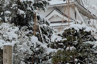 translate english to natural japanese or kansai dialect
