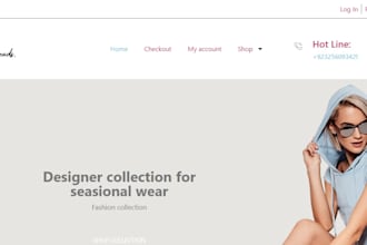 create wordpress website design,blog or website development
