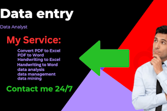 do any file conversion, data analysis, data entry