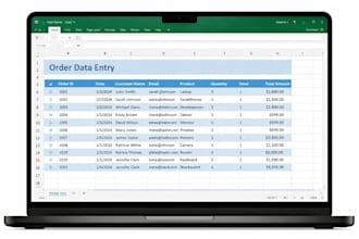 microsoft excel and ms access expert , data entry and  database specialist