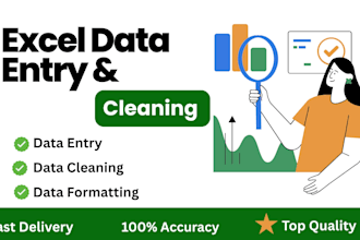do data entry, excel data cleaning and formatting