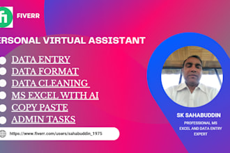 do all office admin tasks, with ai, excel data entry, data cleaning,pdf to excel