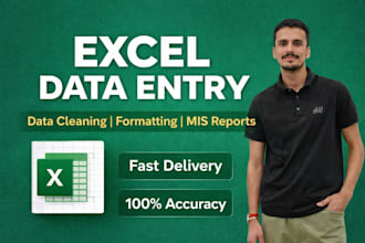 do excel data entry, cleaning, formatting and mis repoting
