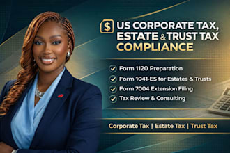 prepare US corporate tax 1120 estate trust 1041es and 7004