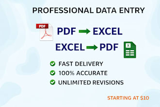 do data entry, PDF to excel and excel to PDF conversion fast