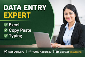 do data entry, copy paste, excel work professionally
