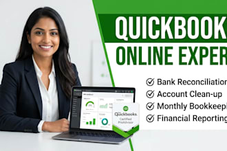 provide expert quickbooks online qbo solutions