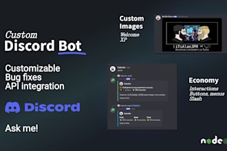 develop a custom discord bot