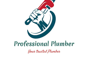help diagnose your plumbing issue and guide you step by step