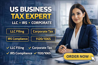 file US business tax return llc tax filing irs corporate tax USA