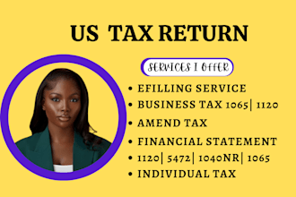 file and efile personal tax corporate tax 1120 1040 1040nr, US tax return