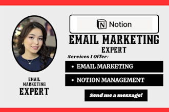 setup notion email marketing