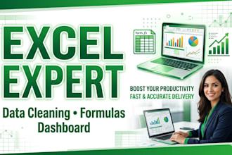 do professional excel data analysis, formulas, dashboards