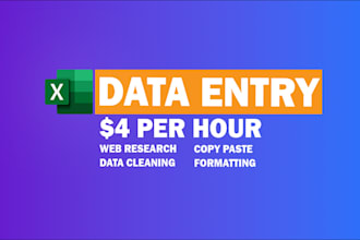 do data entry, cleaning and any excel intermediate work