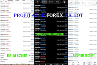 setup forex trading bot, forex ea, forex robot, forex ai, trading bot