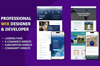 a professional wix website with domain and hosting included