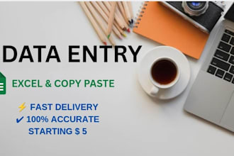 do fast data entry, copy paste, excel work in 24 hours