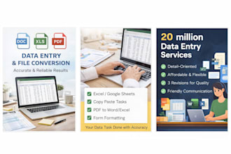 do accurate data entry, copy paste, and file conversion