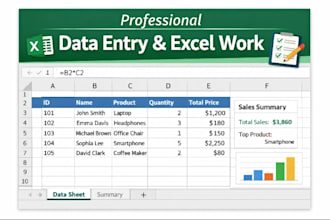 do accurate data entry and excel work