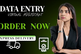 be your virtual assistant for data entry, typing, copy paste and web research