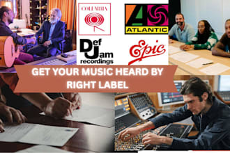 do professional music promotion and record label submission