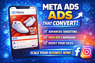 setup and manage meta ads campaign that converts