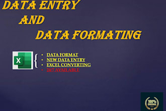 excel formatting,excel data entry