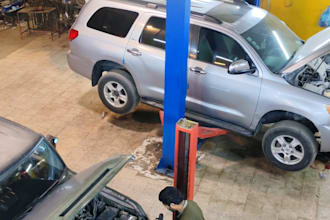 provide expert automotive diagnostics and repair advice