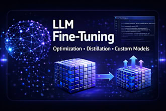 do llm fine tuning, optimization, distillation for customized llm