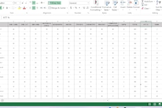 do excel data entry and file conversion