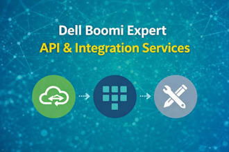 build dell boomi integrations, apis and fix issues