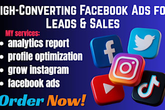 run high conversions facebook ads campaigns for lead generation and sales